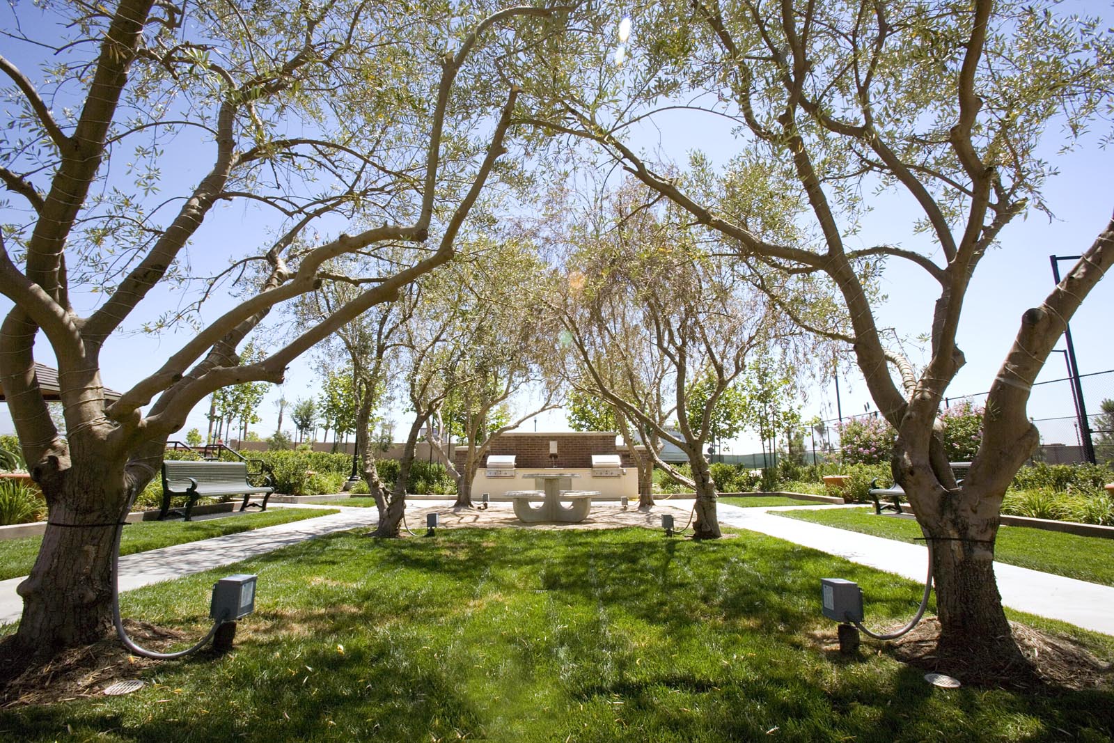 Shady Trails New Homes in Fontana