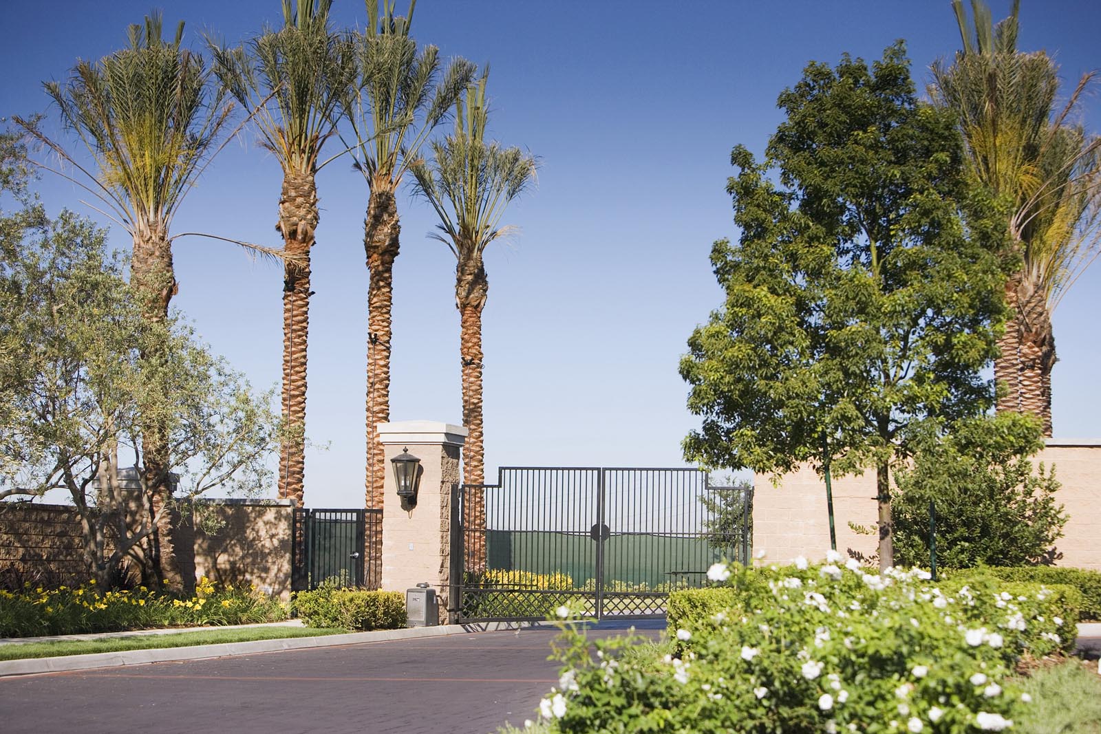 Shady Trails New Homes in Fontana