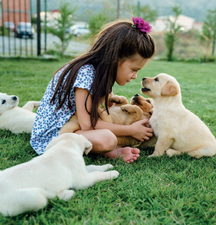 girl sitting on grass surrounded by puppies